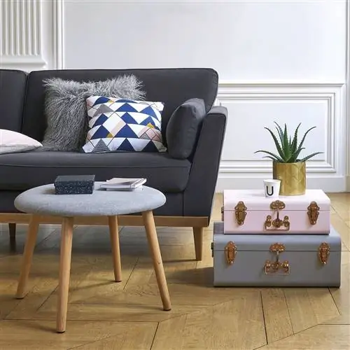 как ухаживать за растением алоэ вера польза для здоровья и украшение