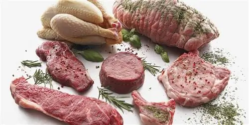 Лучшее мясо для шашлыка