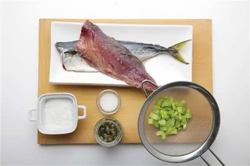 маринованная скумбрия на гриле с соусом из сельдерея 1 маринованная скумбрия на гриле с соусом из сельдерея 1