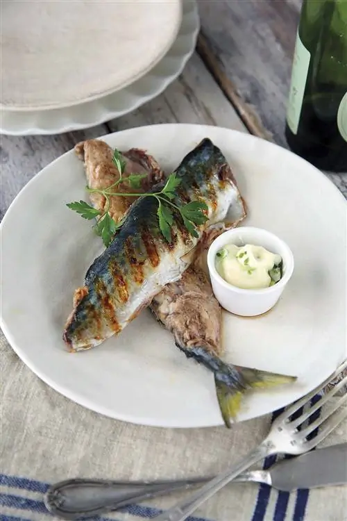 маринованная скумбрия на гриле с соусом из сельдерея маринованная скумбрия на гриле с соусом из сельдерея