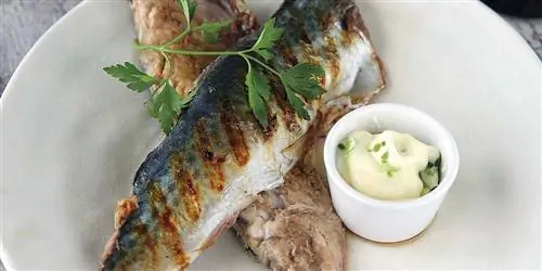 Блюдо дня: Маринованная скумбрия на гриле с соусом из сельдерея