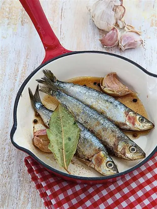 Сардины в маринаде Сардины в маринаде
