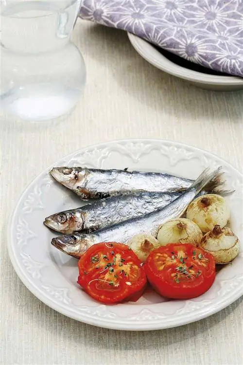 сардины с помидорами и луком сардины с помидорами и луком