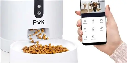 10 Хорошие дешевые дозаторы корма для собак