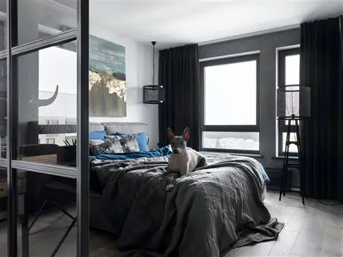 спальня в современном стиле, оформленная в черно-белых тонах