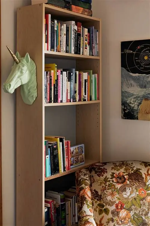 книжная полка с книгами
