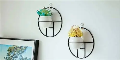 15 красивых и элегантных кашпо, которые можно повесить на стену