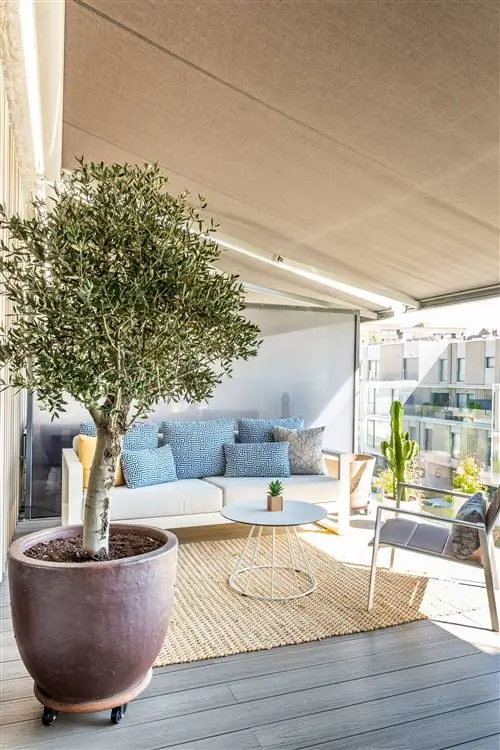 терраса современного дизайна с растениями и зоной отдыха