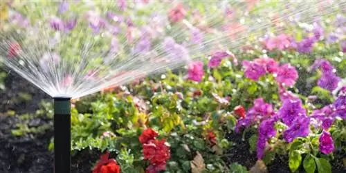 10 автоматических систем полива для вашего сада
