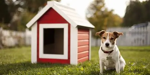 10 красивых и оригинальных садовых домиков для собак