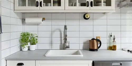 10 растений для украшения кухни: красиво и оригинально