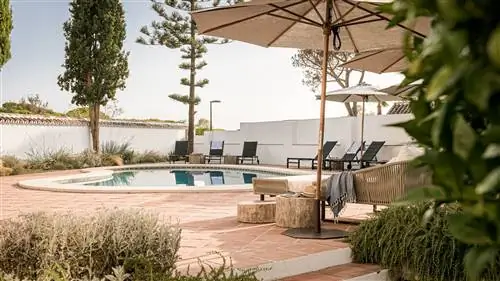 бассейн и шезлонги