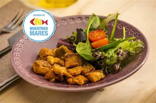 жареный морской лещ в маринаде