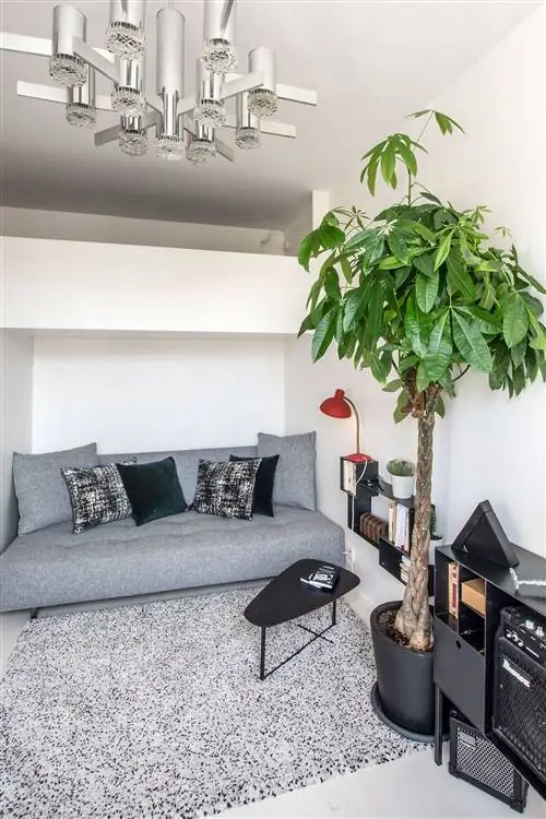 дизайн-студия в Париже площадью 20 м2 с гостиной и диваном-кроватью