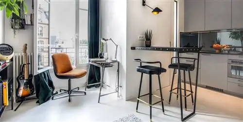 Студия площадью 20 м2, украшенная стильными и дизайнерскими элементами