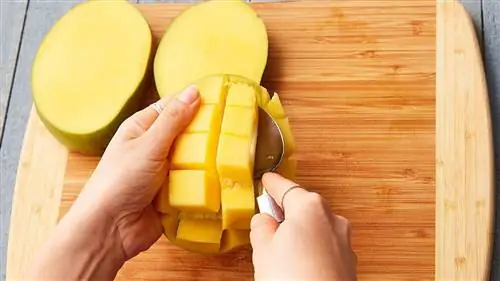 еда, манго, блюдо, кухня, овощи, продукты, фрукты, атаульфо,