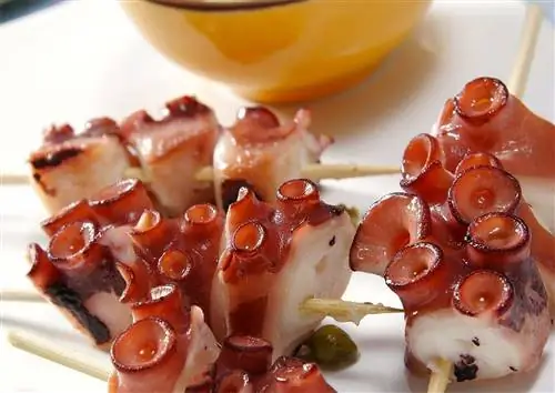 шашлык из осьминога