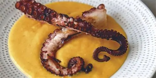 20 лучших рецептов простых и вкусных осьминогов