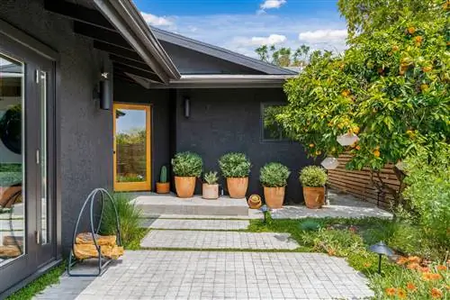 дом с черным фасадом