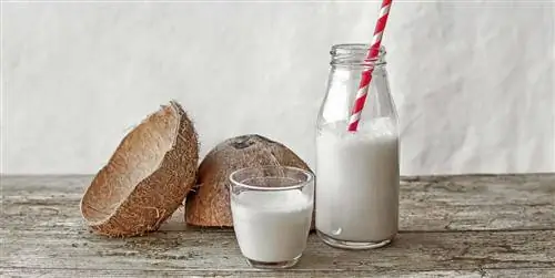 20 Рецепты с кокосовым молоком просто, оригинально и очень вкусно