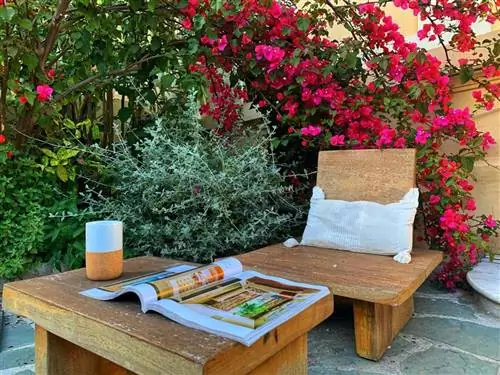 В отеле alexadra есть красивый сад на французском голубом побережье