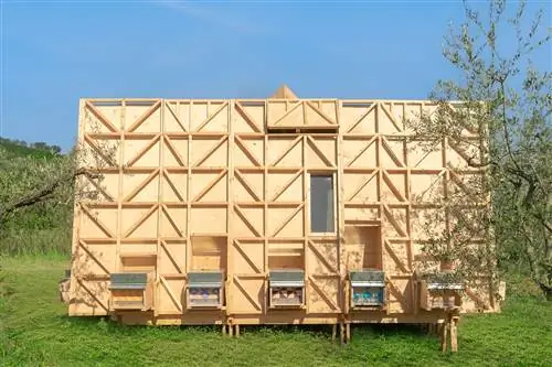 улей в италии от airbnb