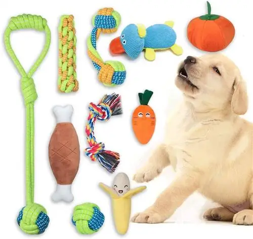 набор из десяти игрушек для собак