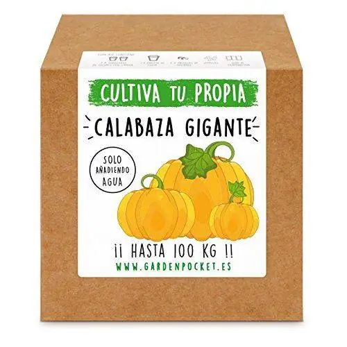 Набор для выращивания гигантской тыквы