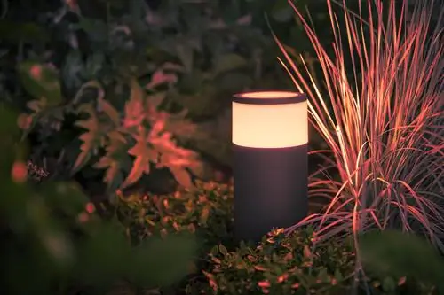 умный дом с умными устройствами amazon с Alexa