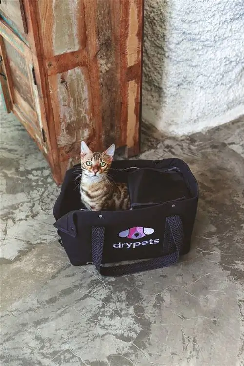 фирменная сумка-переноска для кошек drypets