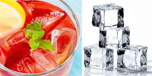 10 самых эффективных льдогенераторов для приготовления кубиков и борьбы с жарой этим летом