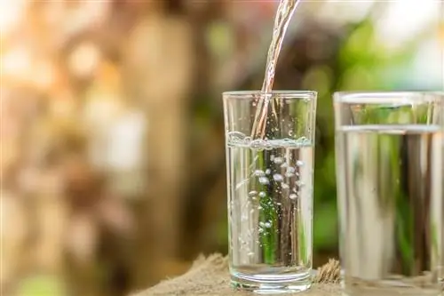 стакан воды для увлажнения