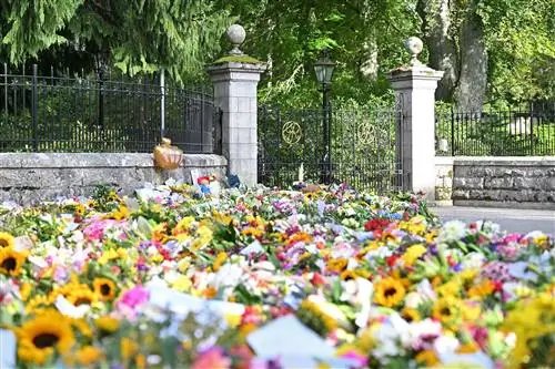 Королева цветочных трибьютов в Великобритании, что происходит с цветами