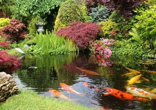 как посадить японский сад