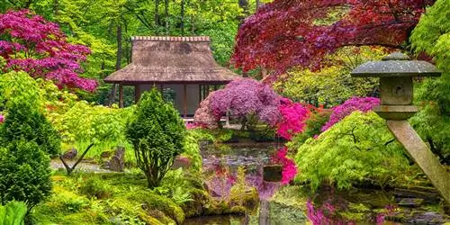 Как создать японский сад дома с помощью советов экспертов