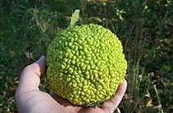 Изображение Изображение