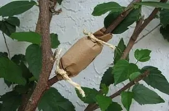 Изображение Изображение