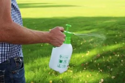 Лучшее время для применения гербицидов