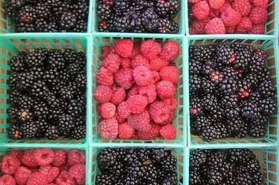 Blackberry Vs. Черная малина