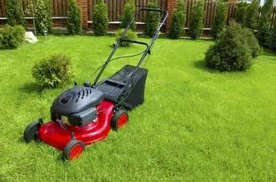 Как работает регулятор на двигателе Briggs & Stratton