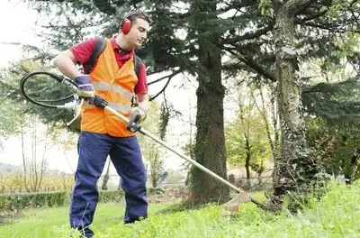 Как убить блох в траве