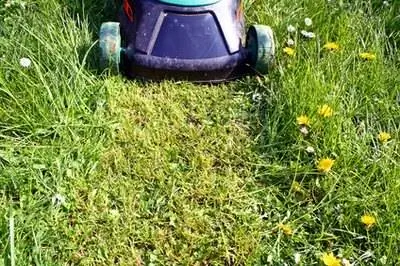 Как почистить карбюратор газонокосилки Toro 6.5