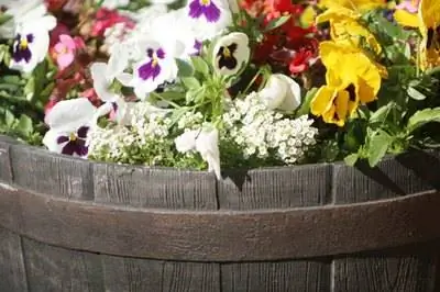 Как расположить цветы в кадке для винных бочек