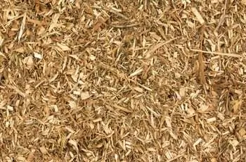 Текстура древесной стружки