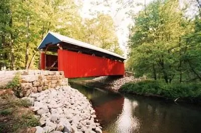 Дикие съедобные растения в Огайо