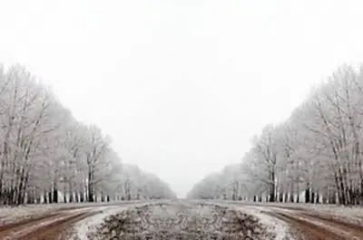 Что такое посевная зона Иллинойса?