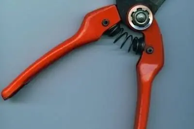 Как обрезать кусты песчаной вишни