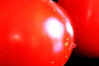 Почему цветки томатов засыхают & Опадают?