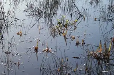Виды водостоков для дворов с высоким уровнем грунтовых вод
