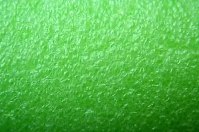 Как удалить водоросли со дна бассейна
